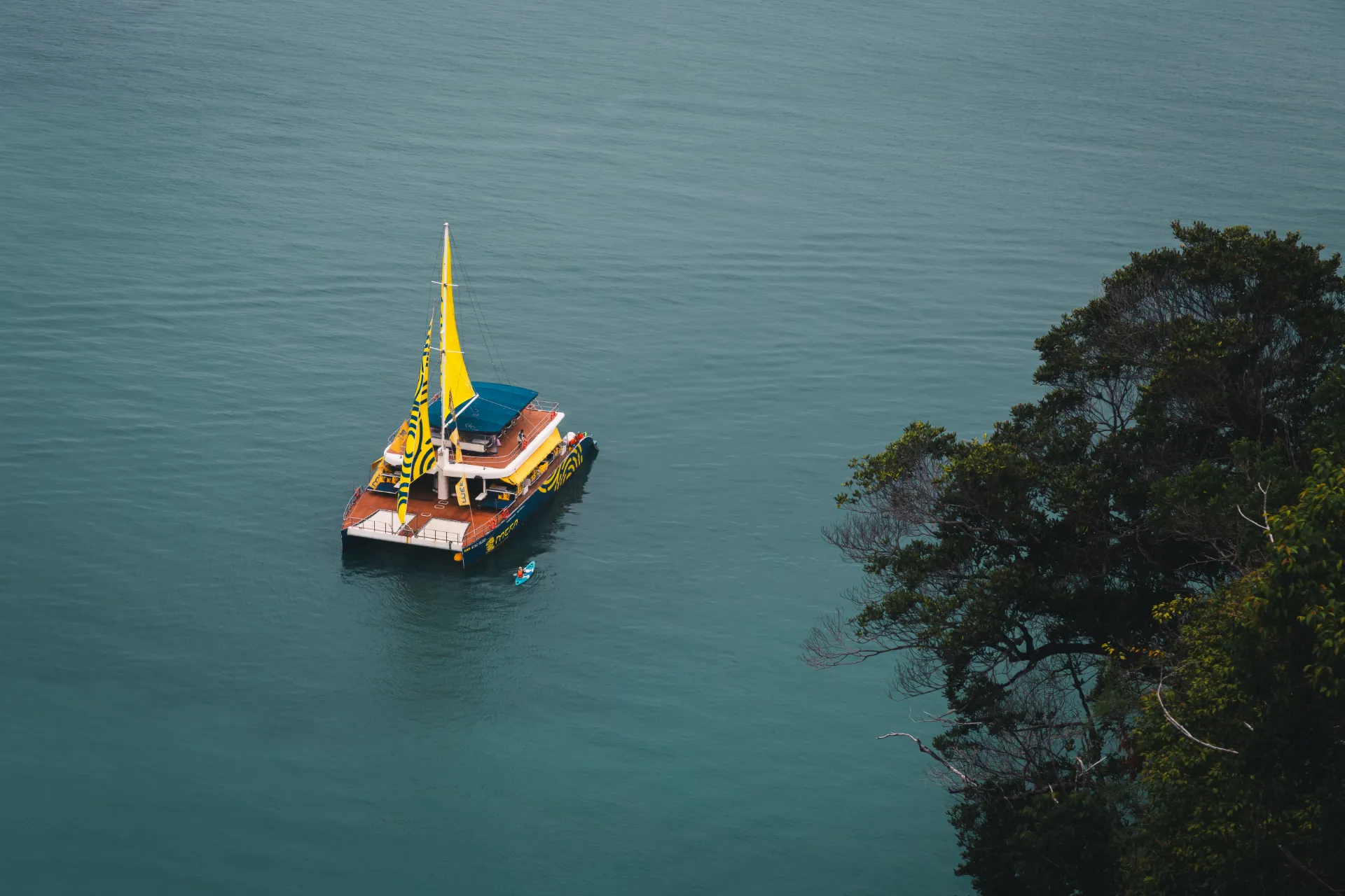 compressed__MG_8375-1